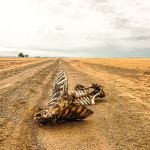 Single photo enhanced with easyHDR 3.12.2: 20180302-DSCN3299 Kenia droga do Etiopi.tif